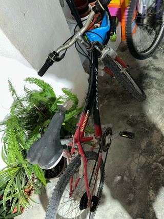 Bicicleta infantil ROMANI SHIMANO