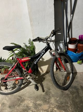 Bicicleta infantil ROMANI SHIMANO