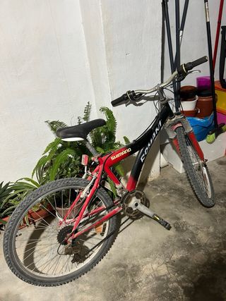 Bicicleta infantil ROMANI SHIMANO
