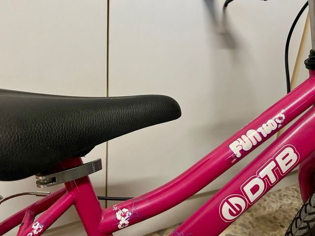Bicicleta infantil DTB Fun 16 rosa
