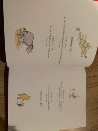 Winnie the Pooh. L'orsetto migliore del mondo