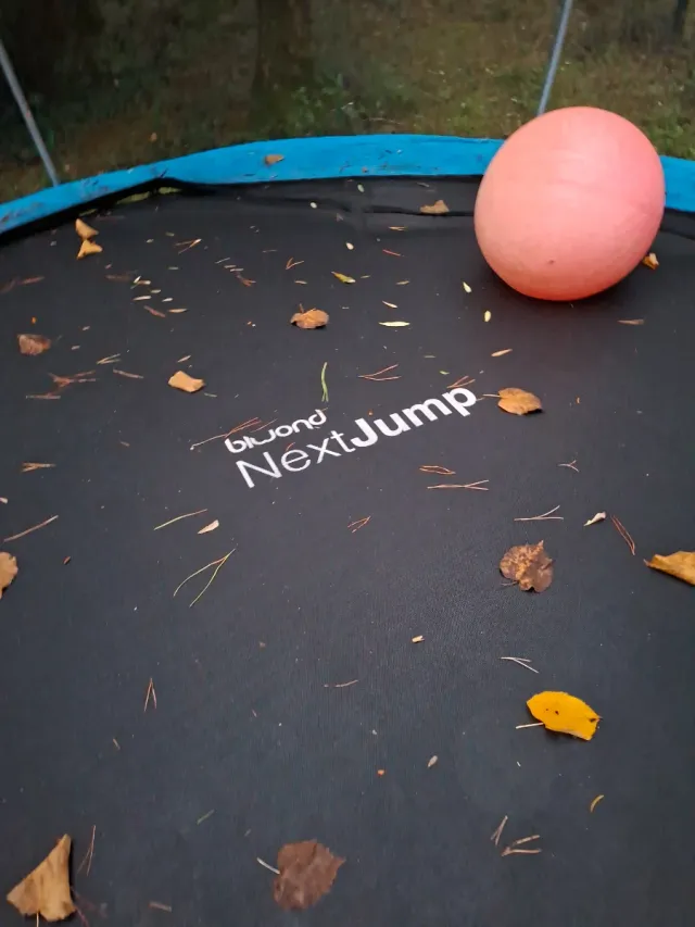 Cama elástica infantil con red de seguridad