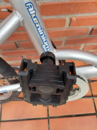 Bicicleta Plegable Plata