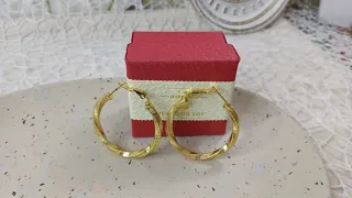 Pendientes Aro Rizado Serpiente Acero y Goldfilled