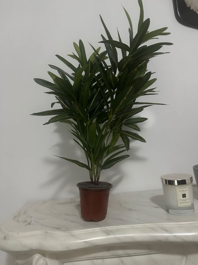 Planta artificial decorativa con maceta gris