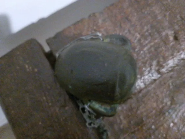 Antico turibolo in bronzo a forma di volto