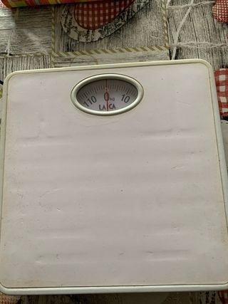 Bilancia Pesapersone Laica