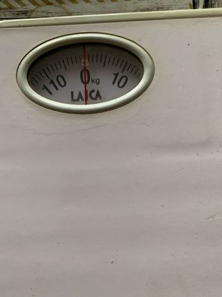 Bilancia Pesapersone Laica