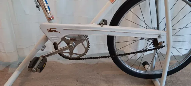 Bicicleta Estática Vintage BH