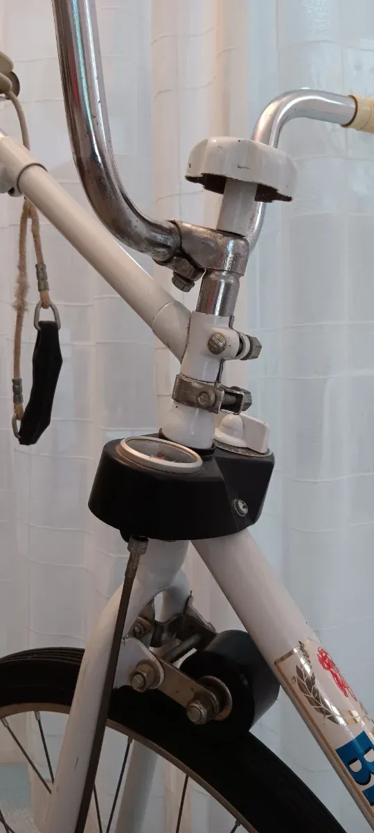 Bicicleta Estática Vintage BH