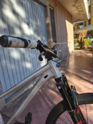 Specialized P4 Dirt Jump