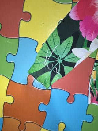 Sudadera floral Just do fuck