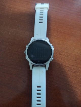 Garmin Fenix 5s Plus Plata/Blanco