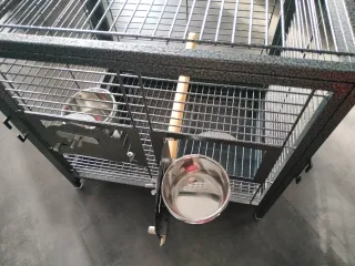 Jaula Viaje Hierro Forjado Loro