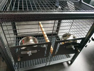 Jaula Viaje Hierro Forjado Loro