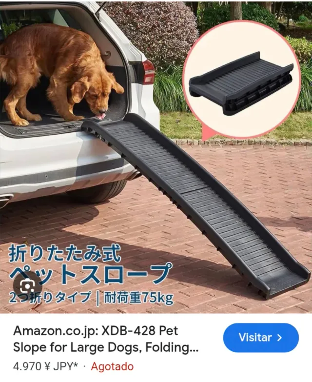 Rampa Plegable para Perros