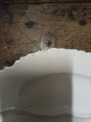 Plato antiguo JP France porcelana