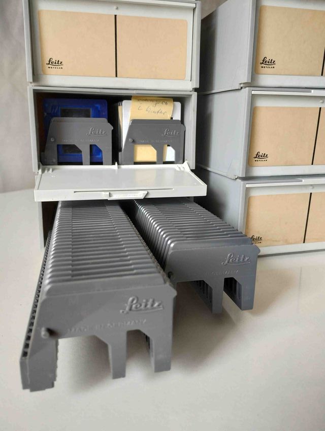 Caja Leitz para 100 Diapositivas Gris (2 x 50)