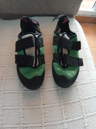 Pies de gato escalada verdes