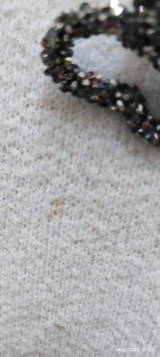 Maglione bianco girocollo con farfalle