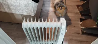 Radiador Aceite 2500W