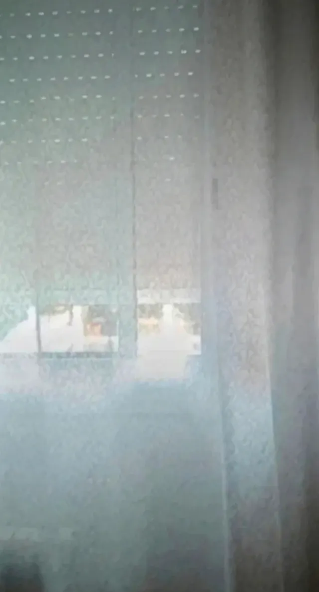 Cortinas  (2 unidades)