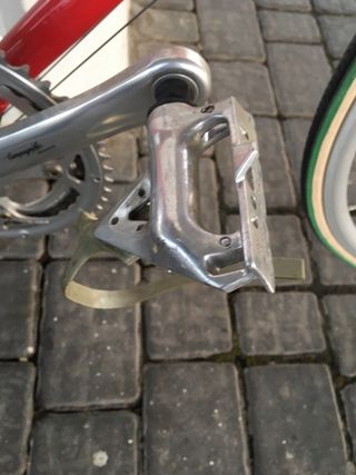 Mentor Campagnolo  t.M 56cm