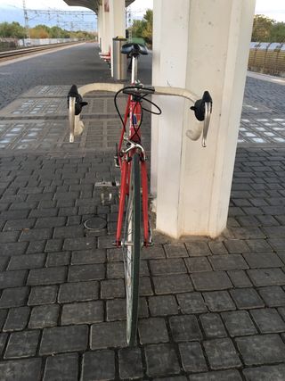 Mentor Campagnolo  t.M 56cm