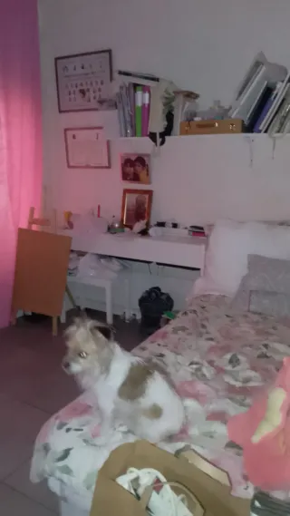 Piso en venta en Alcoy