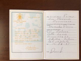 Tappeto Hamadan Persia lana beige rosso