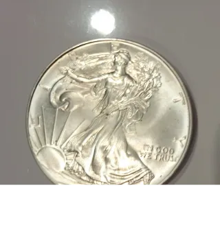 Dólar Plata 1994 Walking Liberty