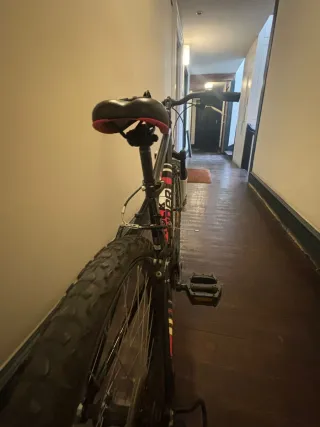 Bici Infantil ROC Rider 5.0