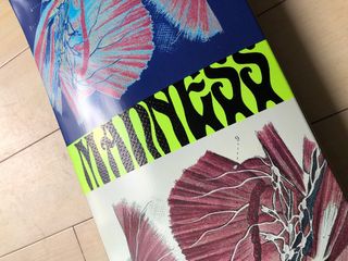 Tabla Skate Madness 8.75