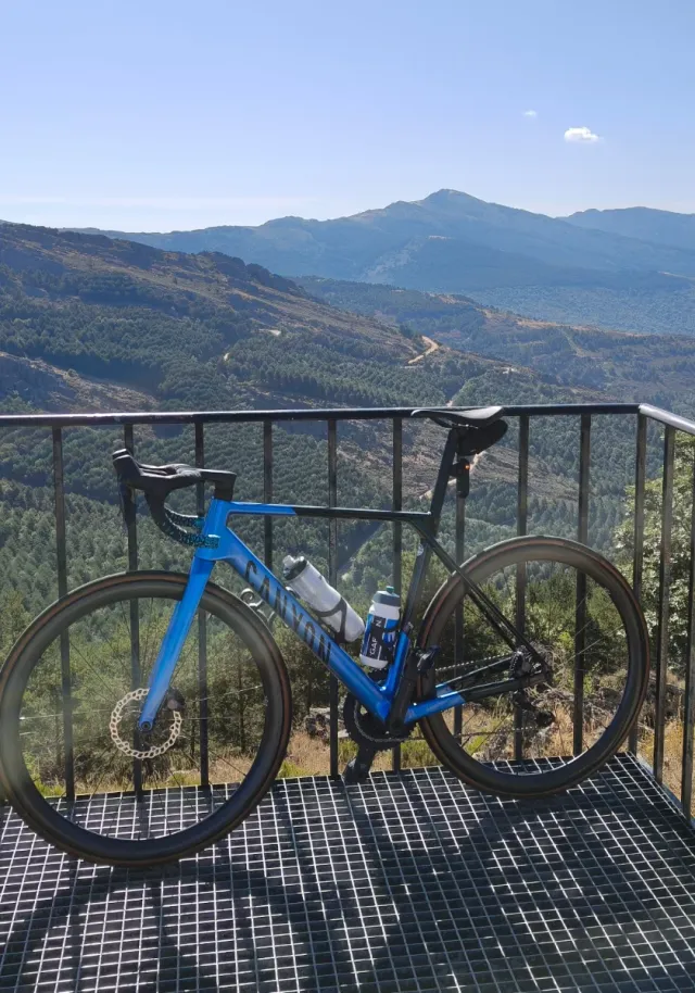 Canyon Ultimate CF SL 8 Talla M Potenciómetro