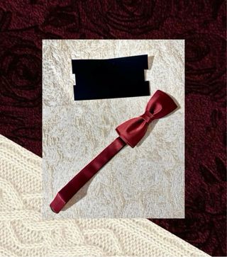 Lazo~Pajarita para ocasiones especiales.