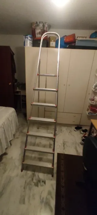 Escalera aluminio 7 peldaños