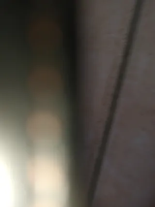 Realm of the Dead PS2