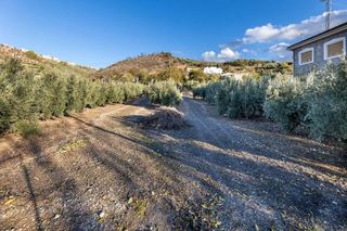 Terreno en venta en Iznalloz