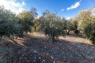 Terreno en venta en Iznalloz
