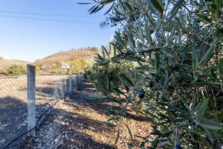 Terreno en venta en Iznalloz