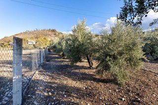 Terreno en venta en Iznalloz