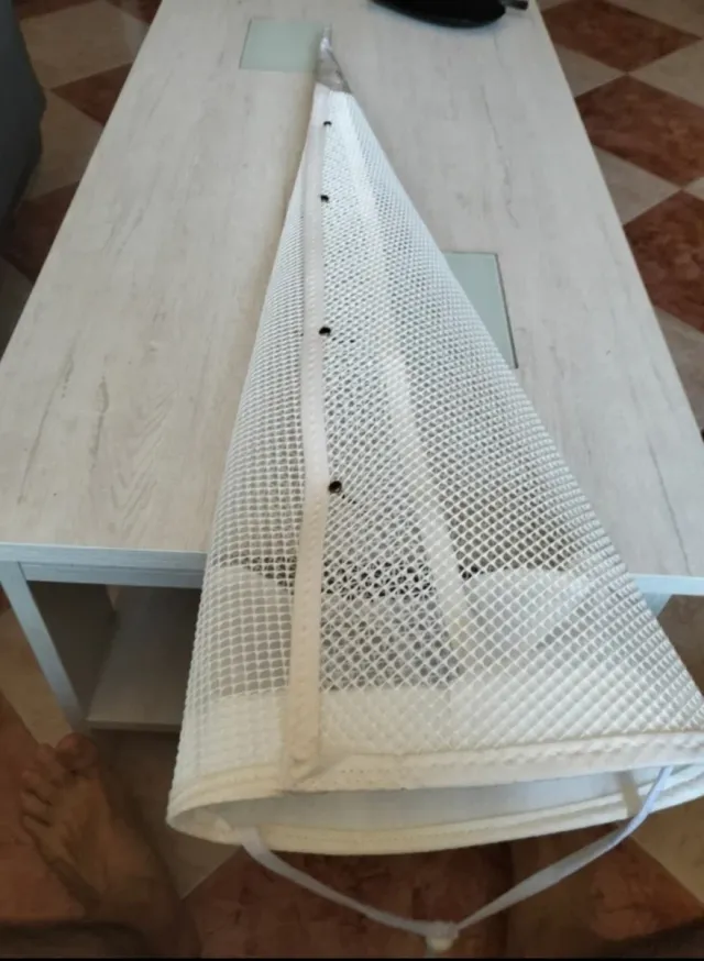 Capirote de piritente blanco