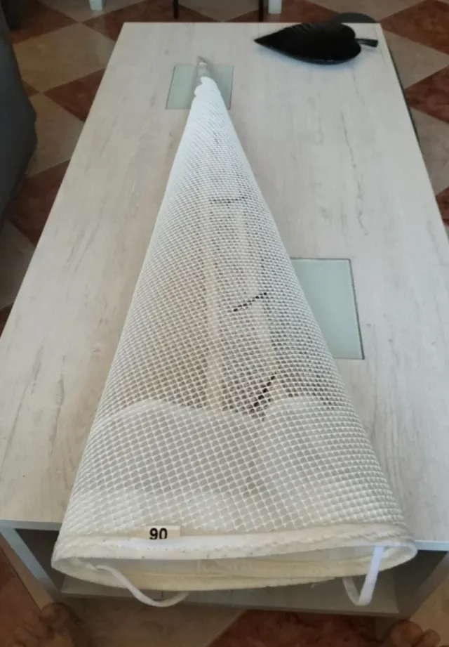 Capirote de piritente blanco