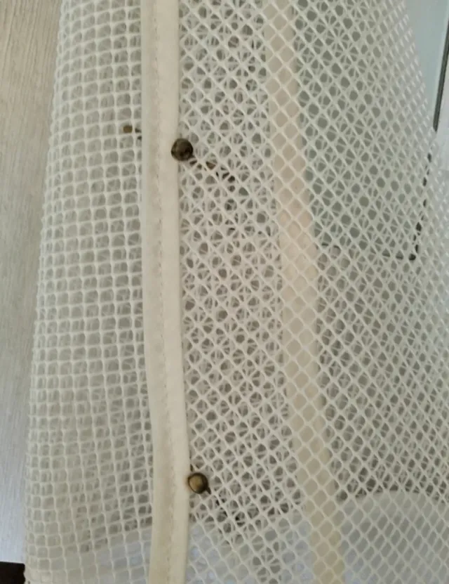 Capirote de piritente blanco