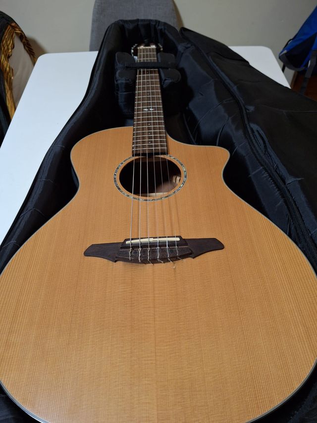 Breedlove Studio N250/CR Nylon