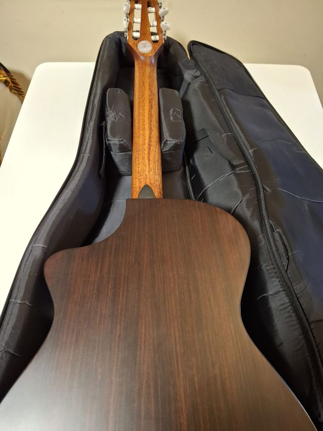 Breedlove Studio N250/CR Nylon
