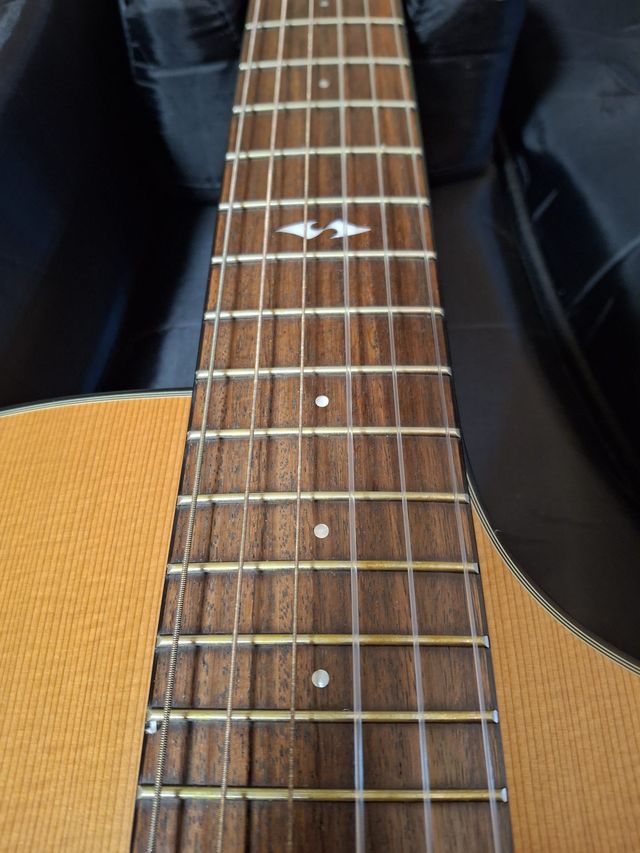 Breedlove Studio N250/CR Nylon