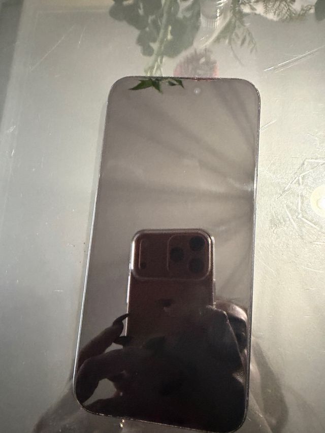 iPhone 15 Pro Max 256GB Negro/Gris