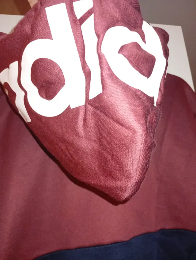 Sudadera Adidas bicolor con capucha