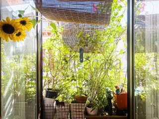 Piso en venta en Universidad - Malasaña en Madrid